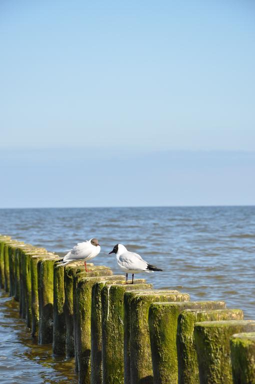 Seetelhotel Nautic Usedom Hotel & Spa Koserow Eksteriør bilde